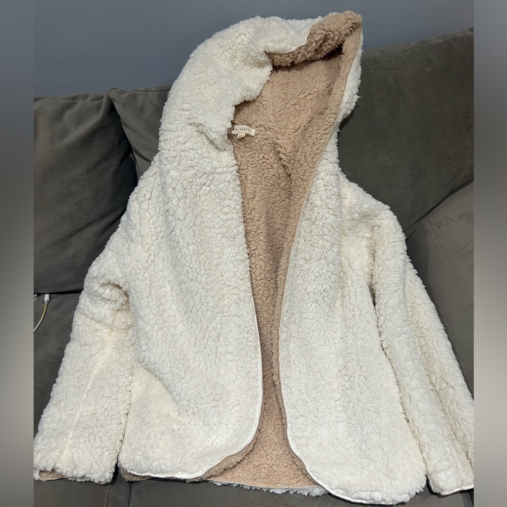 Pacsun reversible sherpa hoodie